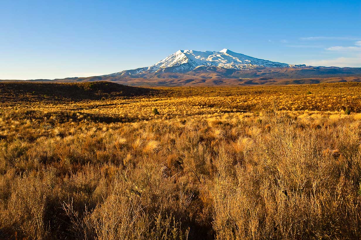 Tongariro National Park