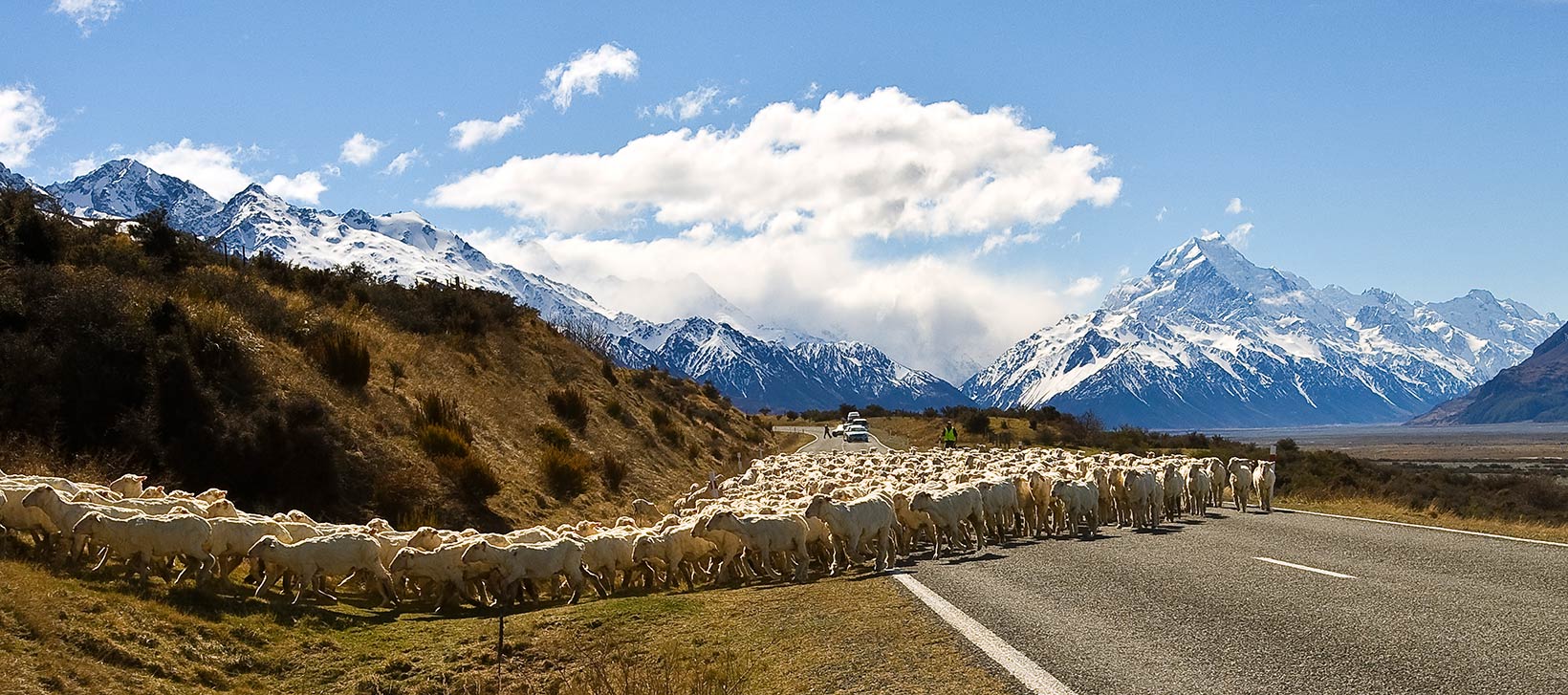 Mount Cook National Park